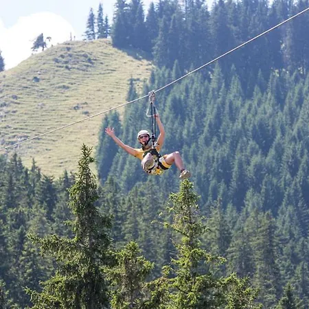 Lägenhet Alpenrose *